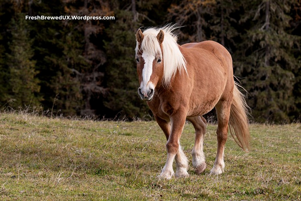 Budweiser’s ‘First Delivery’ Super Bowl 2025 Commercial: A Marketing Masterclass in UX, Storytelling & Brand Engagement